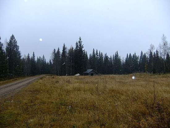 verlaten hutje in de wei