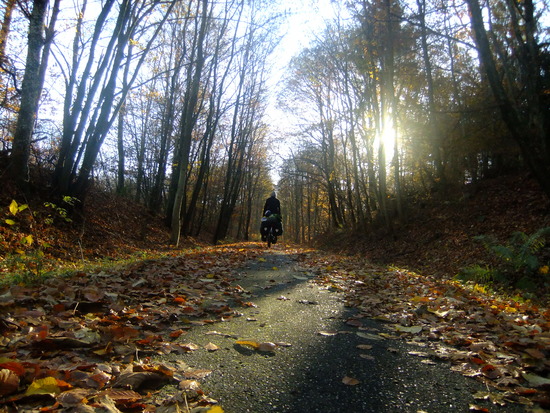 fietsen langs een oude spoorweg in Denemarken